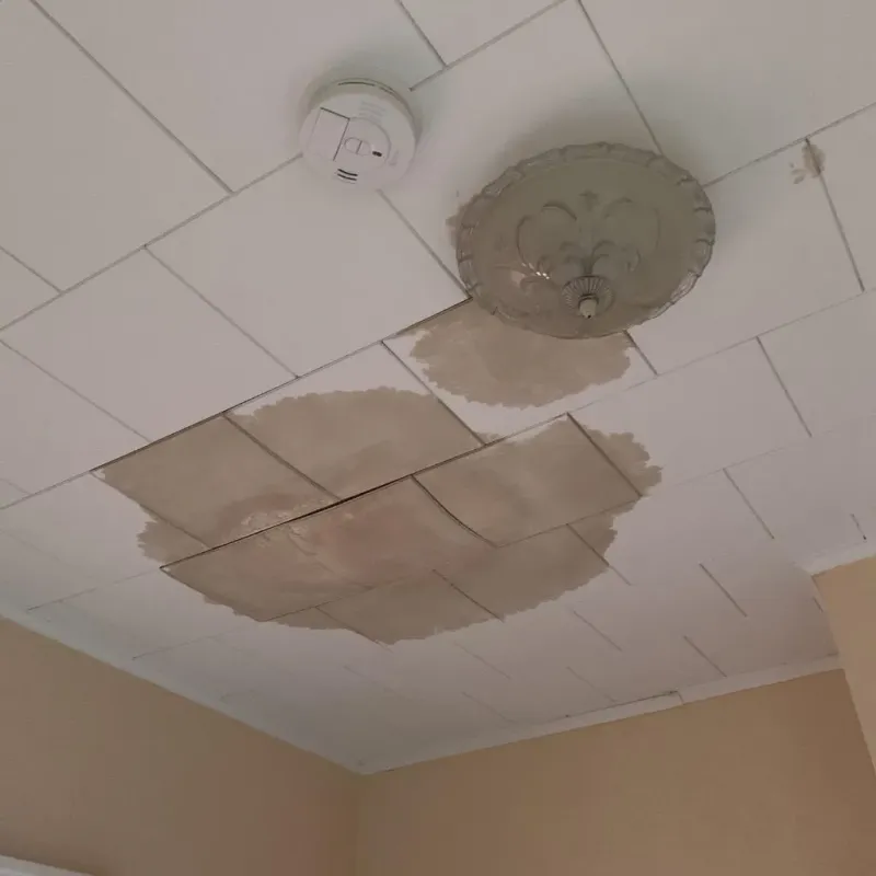 Ceiling Water Damage Repair in Pleasantville, IA