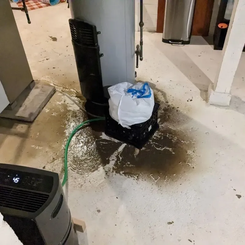 Sewage Backup Cleanup Service in Pleasantville, IA